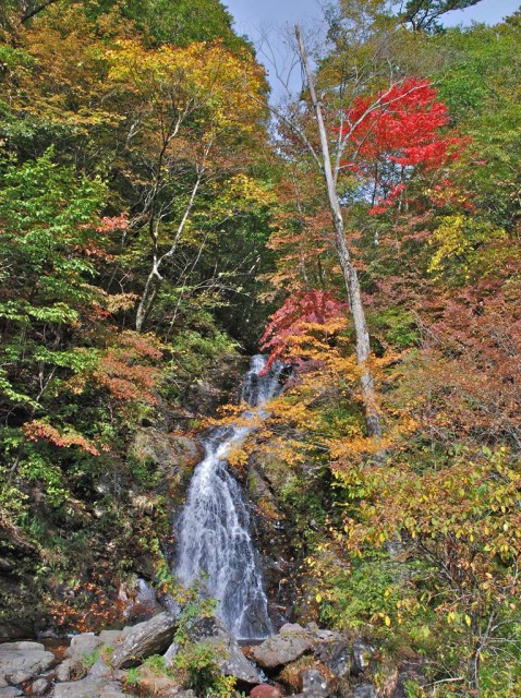 白滝
